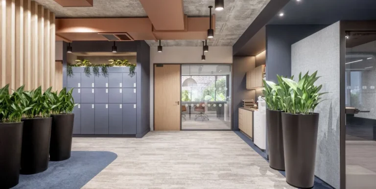 Flexible Workspace Dublin Office Plants 768x387