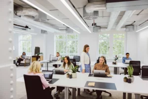 OregaEightyStrand OfficeSpace WithPeople 300x200