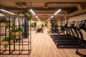 Wogan House Gym 5 300x200