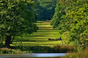 park 300x200