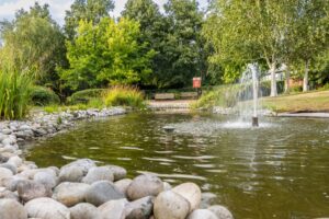 Bristol Green Space resized 300x200