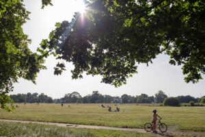 Wimbledon Common 300x200