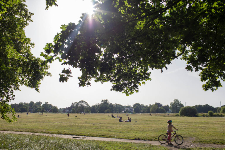 Wimbledon Common 768x512