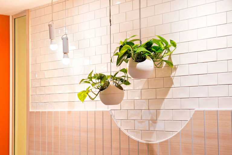 Atria plants 768x513