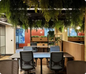 coworking 300x260