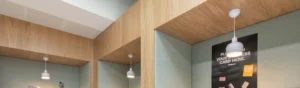 5301 9 300x88