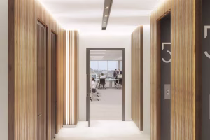 Managed Office Space Ireland Dublin 16 St Stephens Green 3.00 300x200